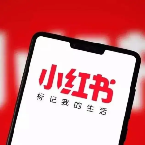 小红书内测“语音问一问”：真人经验+AI，打造社区搜索新样态 ... ...