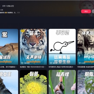 3个月狂揽100万粉丝！这个年轻人给动物写Rap，一条视频播放破3亿 ... ...